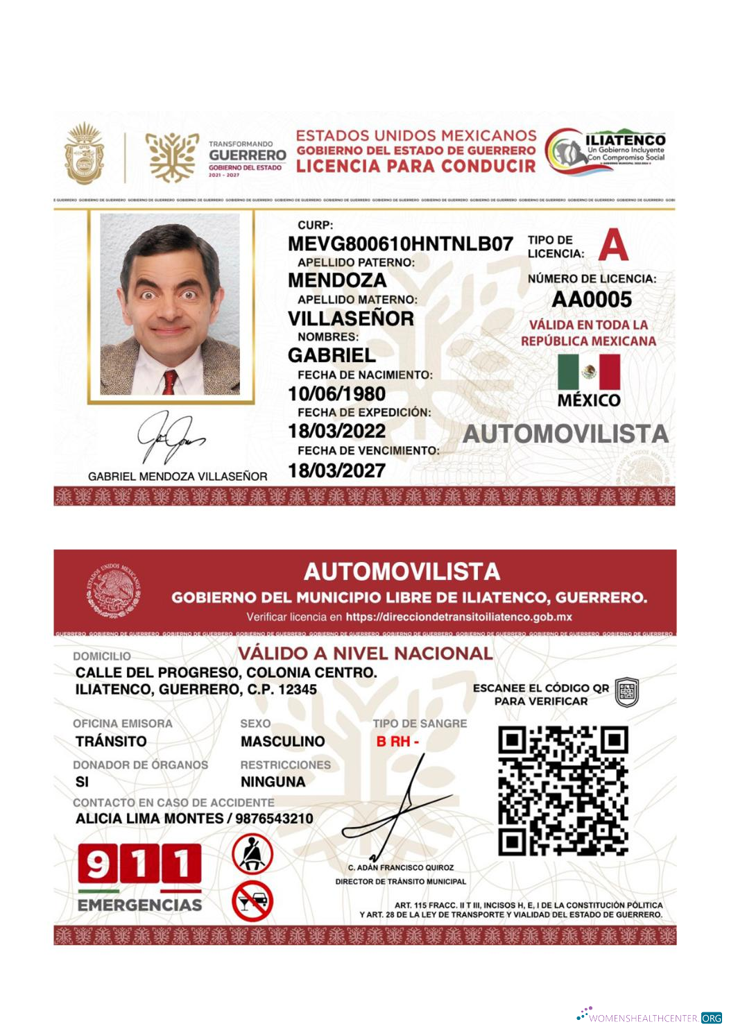 download Mexico Guerrero state driving license
